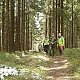 Ogondraga na vrcholu Malý Polom (8.5.2019 15:00)