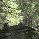 Ogondraga na vrcholu Malý Polom (8.5.2019 15:00)