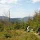 Ogondraga na vrcholu Malý Polom (8.5.2019 15:00)