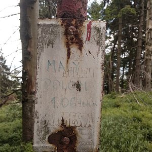 Verysek na vrcholu Malý Polom (16.7.2019 14:28)