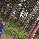 Verysek na vrcholu Malý Polom (16.7.2019 14:28)