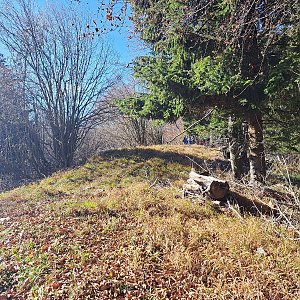 Horalka Anička na vrcholu Borovník (28.10.2022)