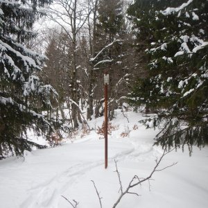 Rastislav Biarinec on the summit of Vtáčnik (29.2.2020 12:19)