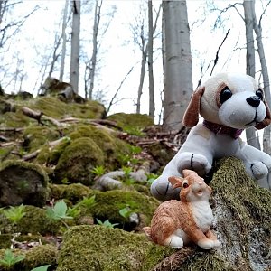 Jiřina na vrcholu Kočičí zámek (1.5.2022 15:50)