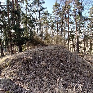 Nojby on the summit of Jánský vrch (20.3.2022 9:15)