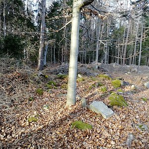 Vladimír Grančay na vrcholu Jelínek (19.2.2022 15:43)