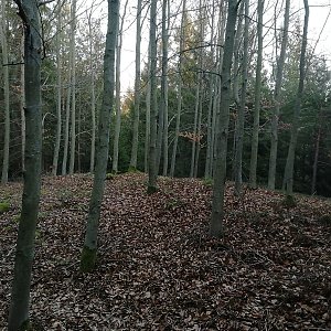 Vladimír Grančay na vrcholu Vlčkův vrch (19.2.2022 17:10)