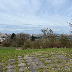 Betička na vrcholu Nad vodojemem (30.3.2025 12:33)