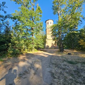Marcela Kubíčková on the summit of Zelený kopec (14.8.2026 18:00)
