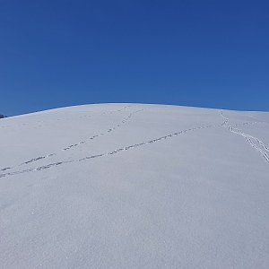 Petr Pepe Peloušek on the summit of On the Hill J (15.2.2021 13:13)