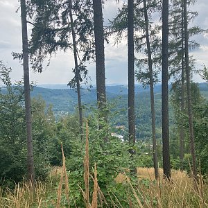 Zlatohorská vrchovina