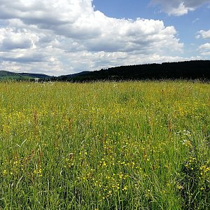 Vladimír Grančay na vrcholu Nad Borovými Lady (11.6.2022 15:20)