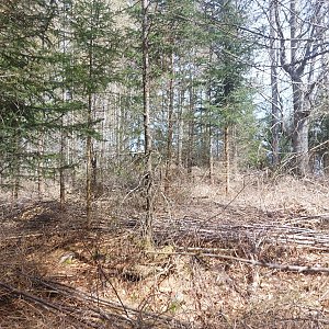 Cyklista 73 na vrcholu Skály (22.4.2023 12:46)