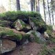 Mykas na vrcholu Skály