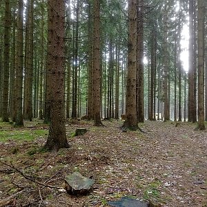 Vladimír Grančay na vrcholu Hraniční les (8.5.2022 11:31)