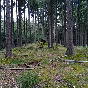 Vladimír Grančay na vrcholu Kamenná hora - SV vrchol (10.7.2022 12:21)