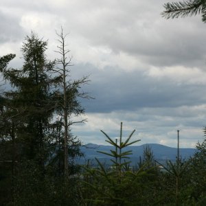 Švihovská vrchovina