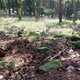 Mykas na vrcholu U obrázku (4.9.2024)