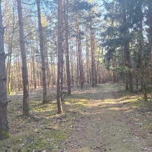 Cyklista 73 na vrcholu U obrázku - J vrchol (20.3.2025 15:31)