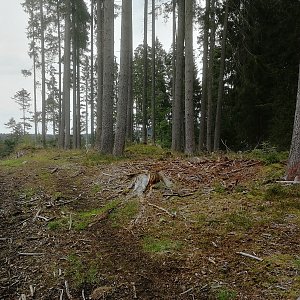Vladimír Grančay na vrcholu U Brlohu (24.9.2022 14:00)