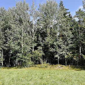 Vladimír Grančay na vrcholu Medník - Z vrchol (2.9.2022 16:20)