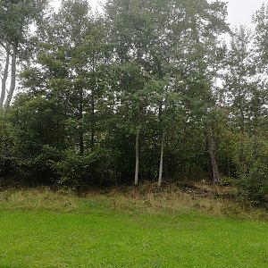 Vladimír Grančay na vrcholu Sviní vrch (1.7.2022 12:26)