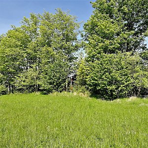 Vladimír Grančay na vrcholu Na pastvinách - S vrchol (19.5.2022 15:59)