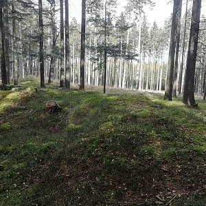 Vladimír Grančay na vrcholu U Obory (23.10.2022 13:56)