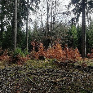 Vladimír Grančay na vrcholu Kupa - S vrchol (23.10.2022 14:40)