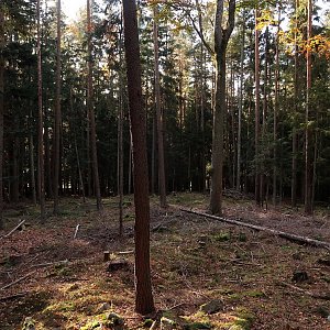 Bouřka na vrcholu Ve Studeném (17.10.2022 9:38)