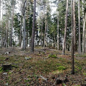 Vladimír Grančay na vrcholu Ve Studeném (23.10.2022 14:53)
