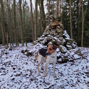 Figgo na vrcholu Kamenná hora (24.12.2025 9:00)