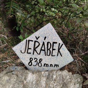 BILI on the summit of Jeřábek (7.9.2026 12:12)