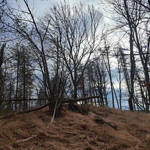 Horalka Anička on the summit of Valy (3.2.2024)