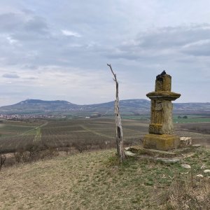 Tomáš Bublan on the summit of Rochusberg (22.3.2025 15:00)
