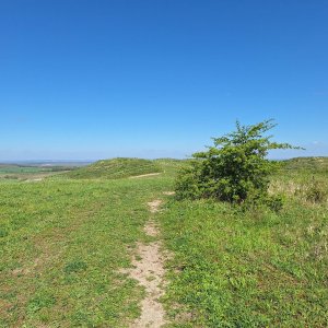 Cyklista 73 on the summit of Rochusberg (20.4.2025 11:15)