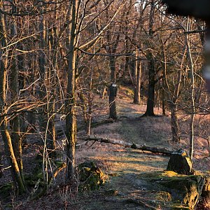 Švihovská vrchovina