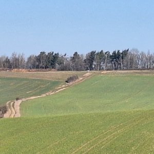 Cyklista 73 on the summit of Bílý kámen (2025)