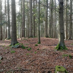 Vladimír Grančay na vrcholu Vysoký les - SZ vrchol (12.11.2022 12:55)