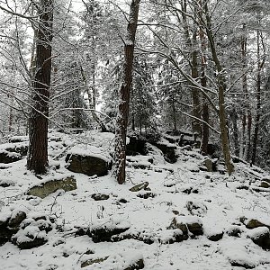 Vladimír Grančay na vrcholu Březový kopec (19.11.2022 12:04)