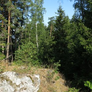 Bouřka on the summit of Under Palcíř (3.8.2026 9:06)