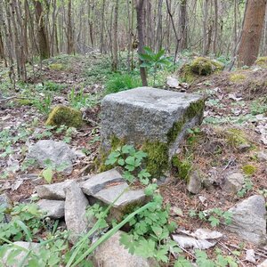 Mykas on the summit of Třemešný vrch (19.4.2024 11:31)