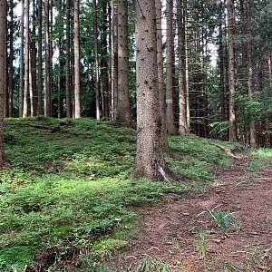 Alexandr Starý na vrcholu Skalčane S (10.9.2022 12:30)