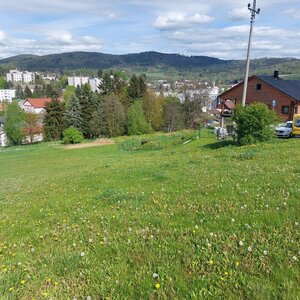 Mykas na vrcholu U Kobyly (26.4.2024 15:46)