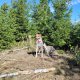 Figgo on peak Klepný (17.9.2023)