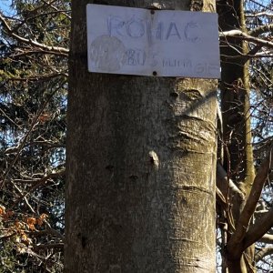 Jiřka Niedobová na vrcholu Roháč (18.4.2026 15:15)