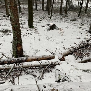 Jan Matiášek na vrcholu Pürzerriegel (3.3.2020 13:20)