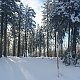 Evík na vrcholu Příslop (18.2.2021 15:14)