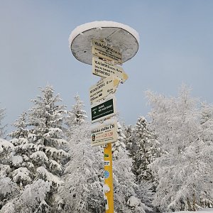 Markéta Maki Peterová na vrcholu Velká Čantoryje (17.1.2021 15:24)