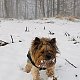 Karin na vrcholu Velká Čantoryje (24.1.2021)